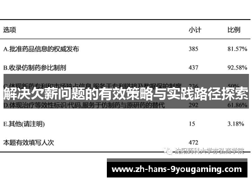 解决欠薪问题的有效策略与实践路径探索