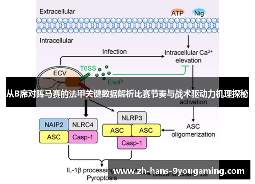 从B席对阵马赛的法甲关键数据解析比赛节奏与战术驱动力机理探秘