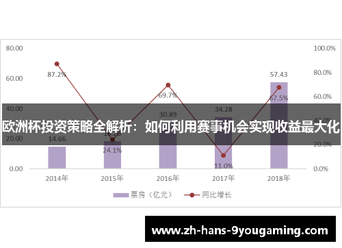 欧洲杯投资策略全解析：如何利用赛事机会实现收益最大化