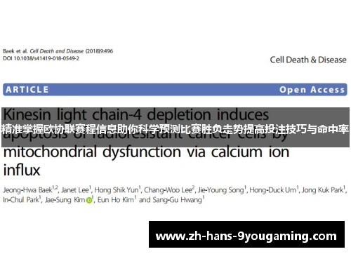 精准掌握欧协联赛程信息助你科学预测比赛胜负走势提高投注技巧与命中率